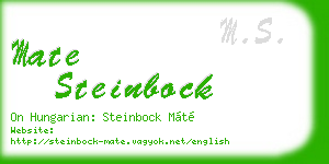 mate steinbock business card